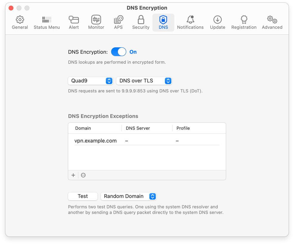 DNS Encryption Settings
